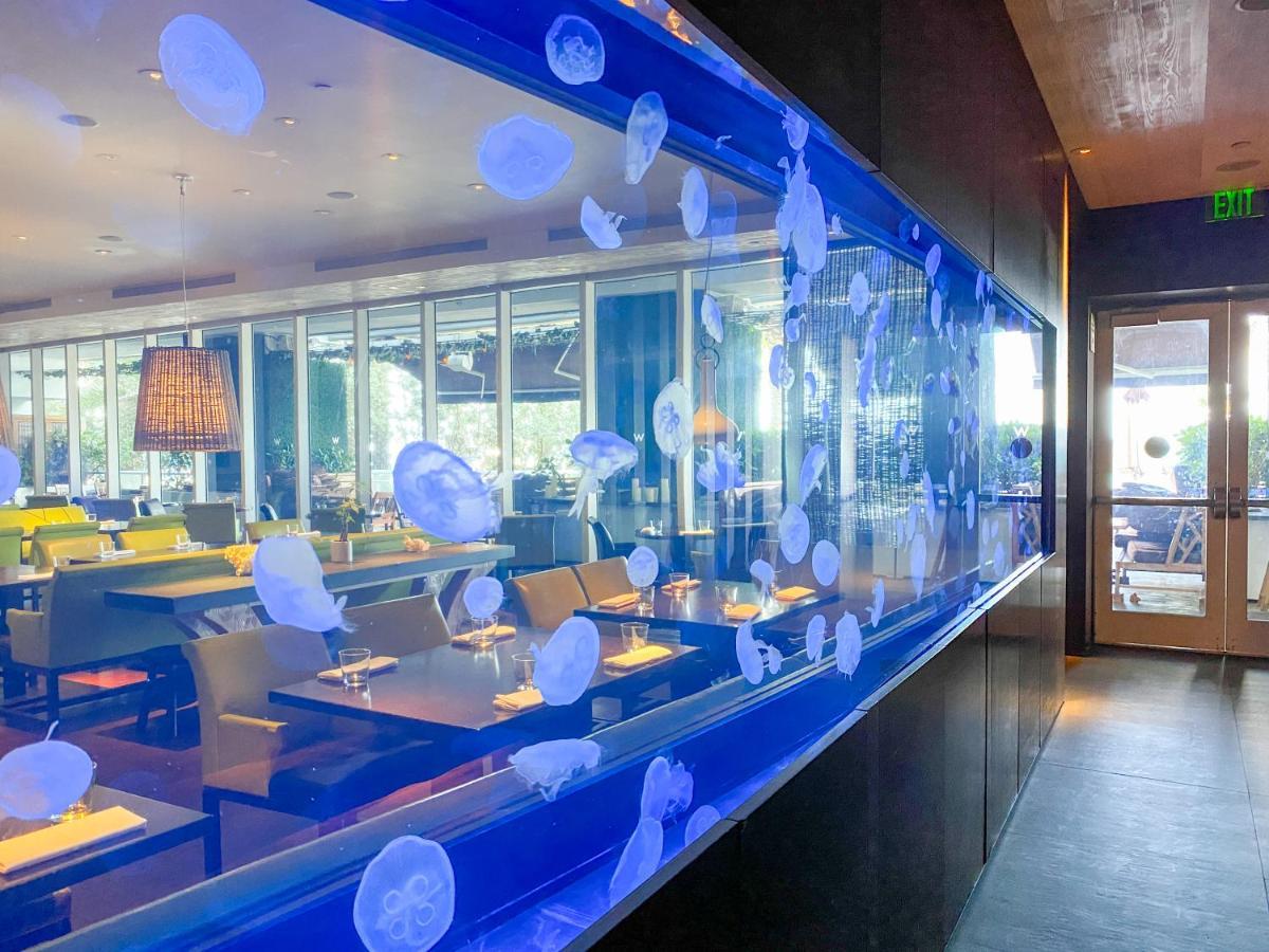 W Residences Fort Lauderdale Luxury Suites Across From Fort Lauderdale Beach Dış mekan fotoğraf
